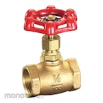 ESCO 3/4inch Globe Valve
