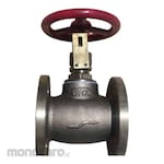Braco Globe Valve Brass SDNR B2011 (Katup Globe)