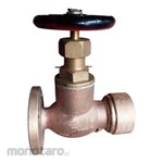 Braco Globe Valve Bronze F7334A 5K (Katup Globe)