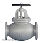 Braco Globe Valve Cast Iron JIS 5K F7305 (Katup Globe)