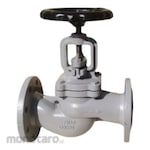 Braco Globe Valve GG25 PN16 (Katup Globe)