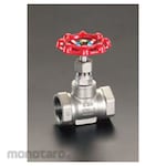 ESCO Globe Valve 3/8inch Stainless Steel (Katup Globe)
