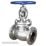 Flowcon Globe Valve Cast Iron