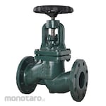 Gala Globe Valve