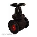 HONEYWELL Globe Valve Cast Iron (Katup Globe)