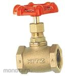 Kitz Globe Valve 100 Type