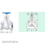 Kitz Globe Valve 10K 10FCJ Series (Katup Globe)