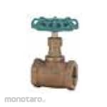 TOYO VALVE Globe valve Class100 cast bronze