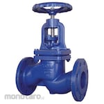 Tozen Globe Valve Cast Iron PN16 S Pattern (Katup Globe)