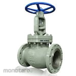 VTV Valve Globe Valve ANSI 300 (Katup Globe)