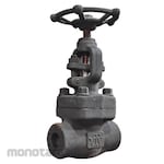 VTV Valve Globe Valve Forged Steel (Katup Globe)