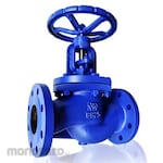 VTV Valve Globe Valve PN16 (Katup Globe)