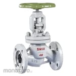 Weissmiller Globe Valve ANSI 300 A105