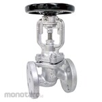 Yoshitake Globe Bellow Valve