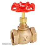 Yoshitake Globe Valve Brass