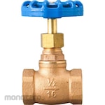 monotaro Bronze Globe Valve