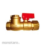 AMD Ball Check Valve