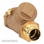 Apollo Check Valves