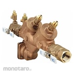 Apollo Reduced-Pressure Zone Backflow Preventer