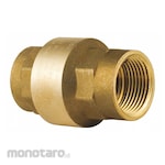 BONOMI Check Valves (Katup)