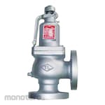 BONT Pressure Safety Valve