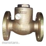 Braco Swing Check Valve Bronze F7371 JIS 5K