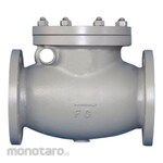 Braco Swing Check Valve Cast Iron Braco F7372-JIS 5K