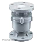 CM Swing Check Flanged End