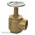 DIXON VALVE COUPLING BR Angle Valve FNPT Inlet