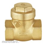 Double Lin Swing Check Valve Brass