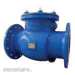 Fivalco Swing Check Valve