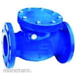 Flowcon Check Valve Swing Seat Ring Cast Iron