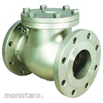 Flowcon Check Valve swing Carbon steel