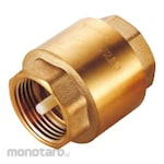 Frap Check Valve
