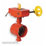 GRUVLOK Butterfly Valves
