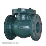 Gala Swing Check Valve