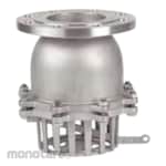 Genebre Foot Check Valve