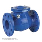 Genebre Swing Check Valve