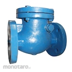 Hartec Swing Check Valve