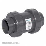 Hayward Check Valve