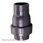 Hershey Valve Ball Check Valve Thread