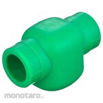 IFAN Check Valves PPR