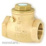 Kitz 125 Type Key Padoy Made Swing Check Valve (Screw Type)