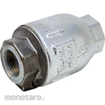 Kitz Ductile Screw Type Swing Check Valve (10K)