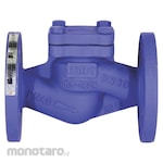 MDT Lift Check Valve Cast Steel