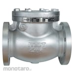 MDT Swing Check Valve Cast iron