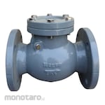 Magno Check Valve Swing FCS 16