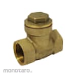 Non Brand Check Valve