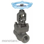 Non Brand Globe Valve