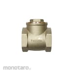 PERRUNO Check Valve